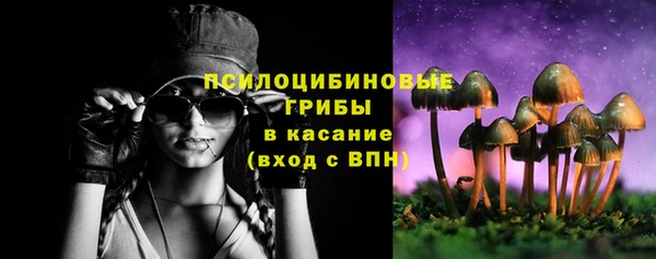 mix Богородицк