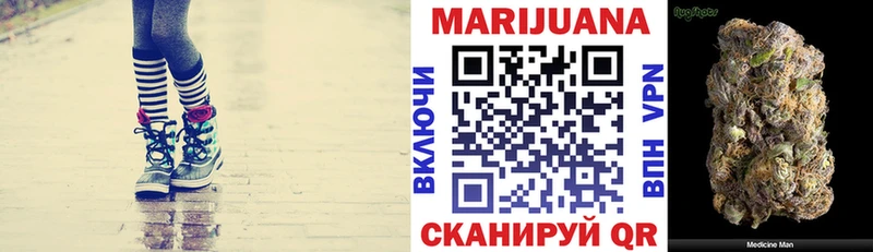 Каннабис план  Купить закладки  Фокино 